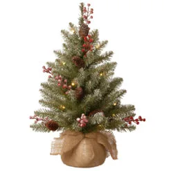 2' Pre-Lit Dunhill Fir Artificial Christmas Tree - Warm White LED Lights