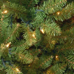 12 Ft. Kingswood(R) Fir Pencil Tree With Clear Lights 5 12 Ft. Kingswood(R) Fir Pencil Tree With Clear Lights -Deals Christmas decorations Store dnat kw7 300 120 3 08847.1667656816