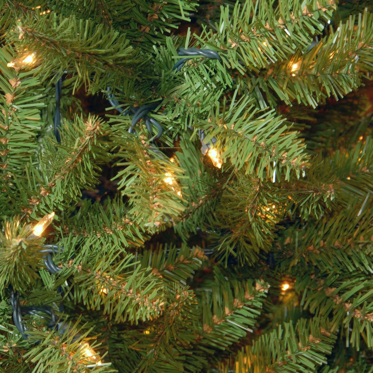 12 Ft. Kingswood(R) Fir Pencil Tree With Clear Lights 3 12 Ft. Kingswood(R) Fir Pencil Tree With Clear Lights - Image 3