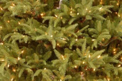 6 Ft. Frasier Grande Tree With Dual Color LED Lights -Deals Christmas decorations Store dnat pefg4 330ld 60 5 57646.1667641599