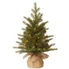 2' Pre-Lit Potted Nordic Spruce Full Artificial Christmas Tree – Clear Lights