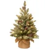 2' Pre-lit Potted Battery Operated Snowy Concolor Fir Artificial Christmas Tree - Warm White LED Lights