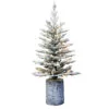 3' Pre-Lit Potted Flocked Arctic Fir Christmas Tree With Warm White LED Lights