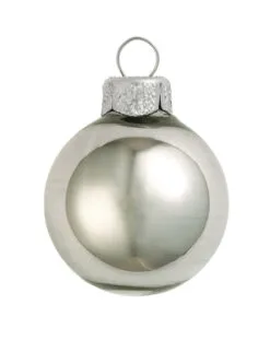 40ct Shiny Pewter Gray Glass Ball Christmas Ornaments 1.25" (31mm)