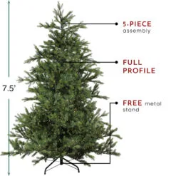 7.5' Pre-Lit Full Oregon Noble Fir Artificial Christmas Tree - Warm White LED Lights -Deals Christmas decorations Store northlight gb15590 thumbnail 1 10554.1667488151