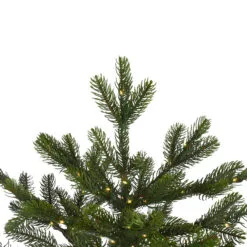 7.5' Pre-Lit Full Oregon Noble Fir Artificial Christmas Tree - Warm White LED Lights -Deals Christmas decorations Store northlight gb516800438 3 updated 62609.1667488150