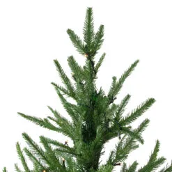 7.5' Pre-Lit Full Silverthorne Fir Artificial Christmas Tree - Clear Lights 8 7.5' Pre-Lit Full Silverthorne Fir Artificial Christmas Tree - Clear Lights -Deals Christmas decorations Store northlight hb27128 2 09462.1667530006
