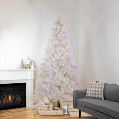 7.5' Pre-Lit Seneca White Spruce Artificial Christmas Tree, Dual Function LED Lights 11 7.5' Pre-Lit Seneca White Spruce Artificial Christmas Tree, Dual Function LED Lights -Deals Christmas decorations Store northlight sm92912 style 2 02568.1667530180