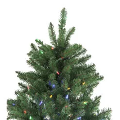 9' Pre-Lit Instant Connect Neola Fraser Fir Artificial Christmas Tree - Dual LED Lights 11 9' Pre-Lit Instant Connect Neola Fraser Fir Artificial Christmas Tree - Dual LED Lights -Deals Christmas decorations Store northlight sp15020 5updated 85714.1667659732
