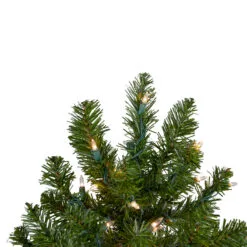 3' Pre-Lit Full Canadian Pine Artificial Christmas Tree - Clear Lights -Deals Christmas decorations Store northlight v15846 2updated 84500.1667536315