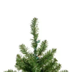2' Pre-Lit Medium Canadian Pine Artificial Christmas Tree - Warm Clear Lights 8 2' Pre-Lit Medium Canadian Pine Artificial Christmas Tree - Warm Clear Lights -Deals Christmas decorations Store northlight v15847 3updated 29824.1667580397