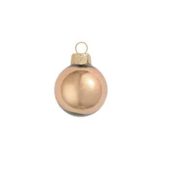 12ct Brown Glass Shiny Christmas Ball Ornaments 2.75" (65mm)